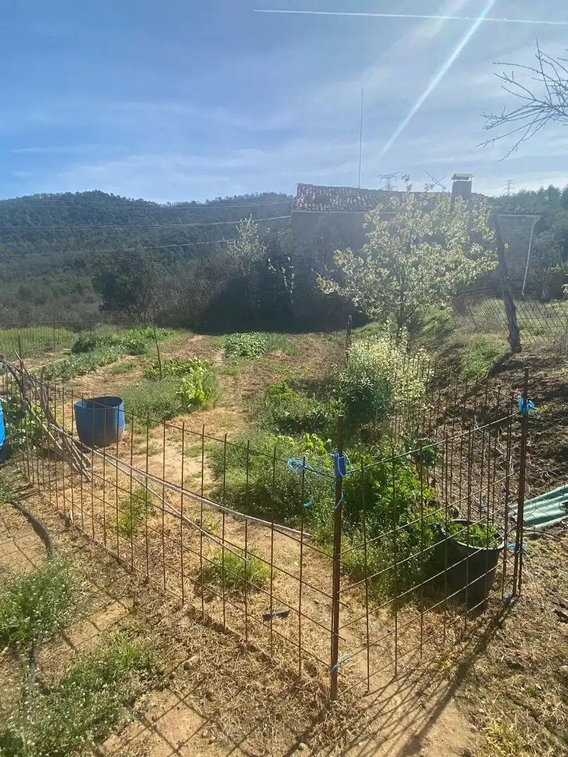 Terreny en venda en Tiurana