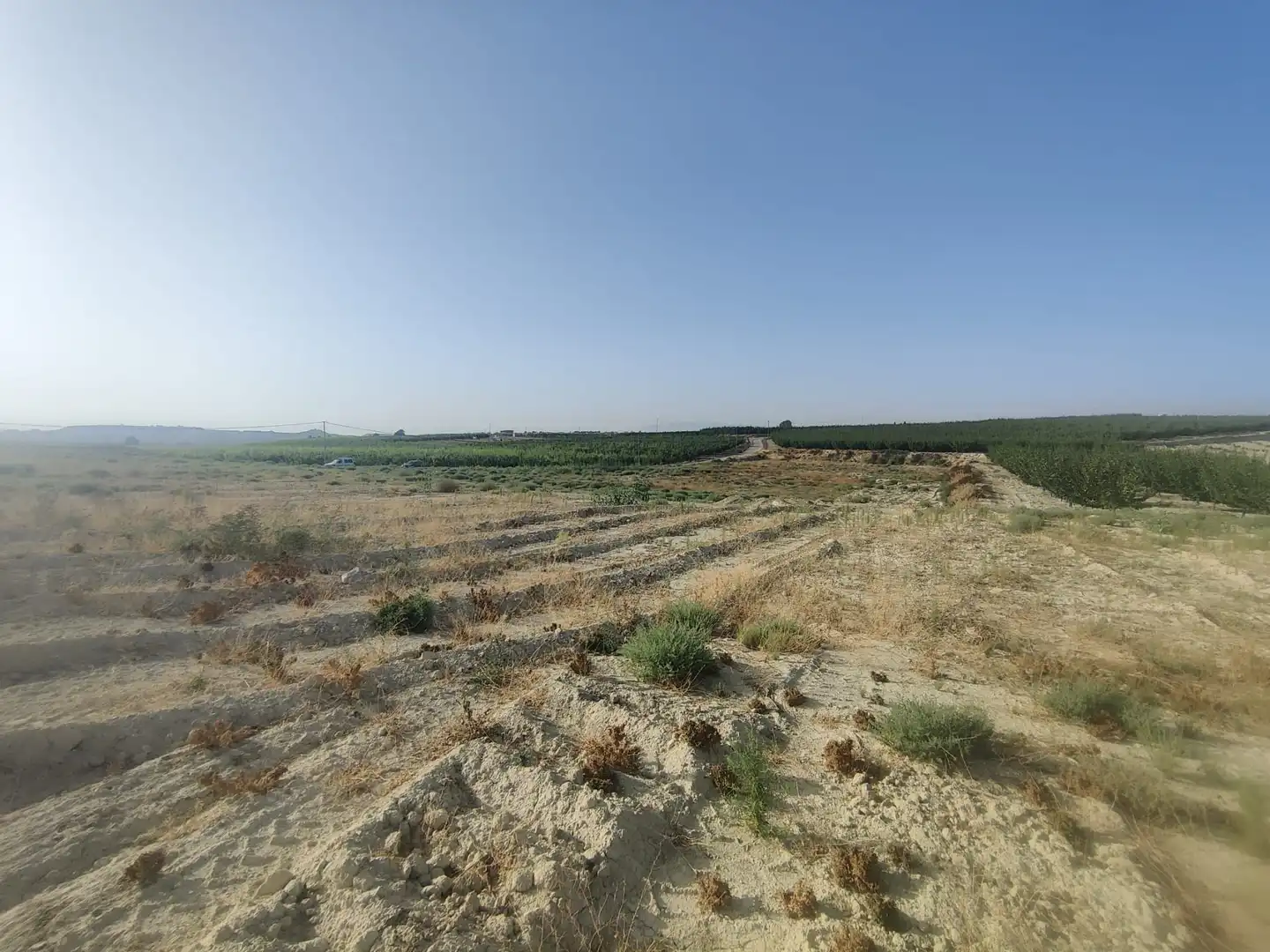 Land for sale in Ojós