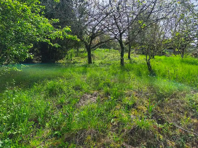 Casa o chalet en venta en Salas con Amueblado