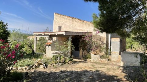 Finca con casita a 15 minutos de la playa.