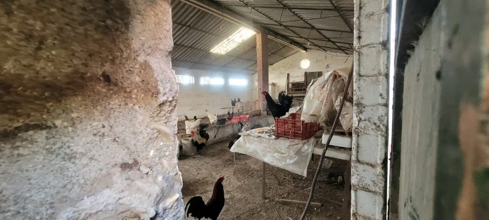 Casa rústica amb piscina en venda a Autovía Los Barrios 8, imagen 29