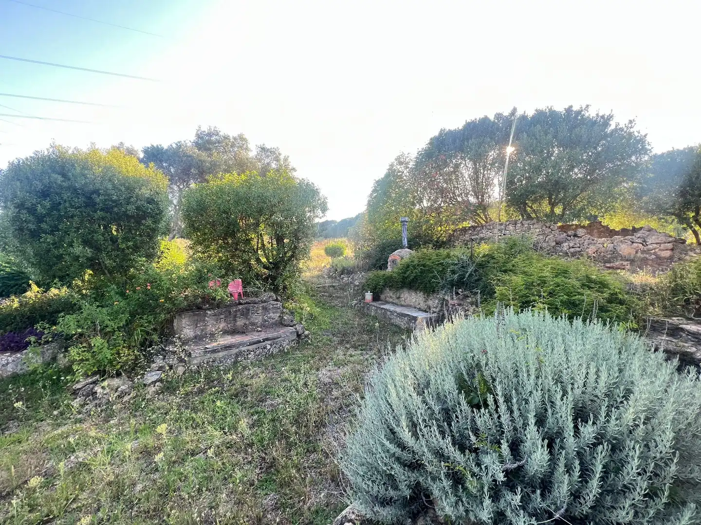 Terreno rustico in vendita a San Roque Pueblo, imagen 4
