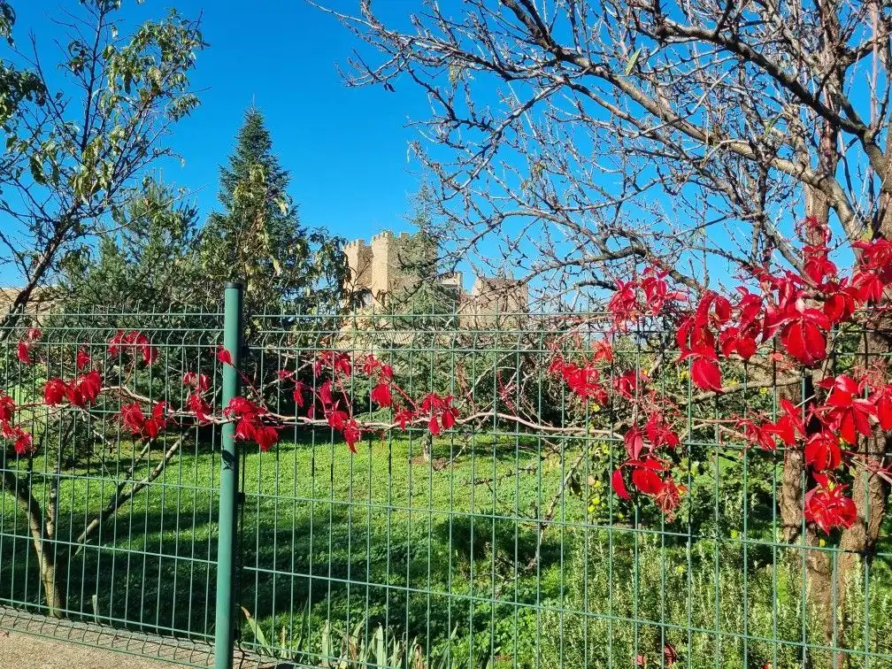 Land for sale in ÚNICA, Canal de Berdún