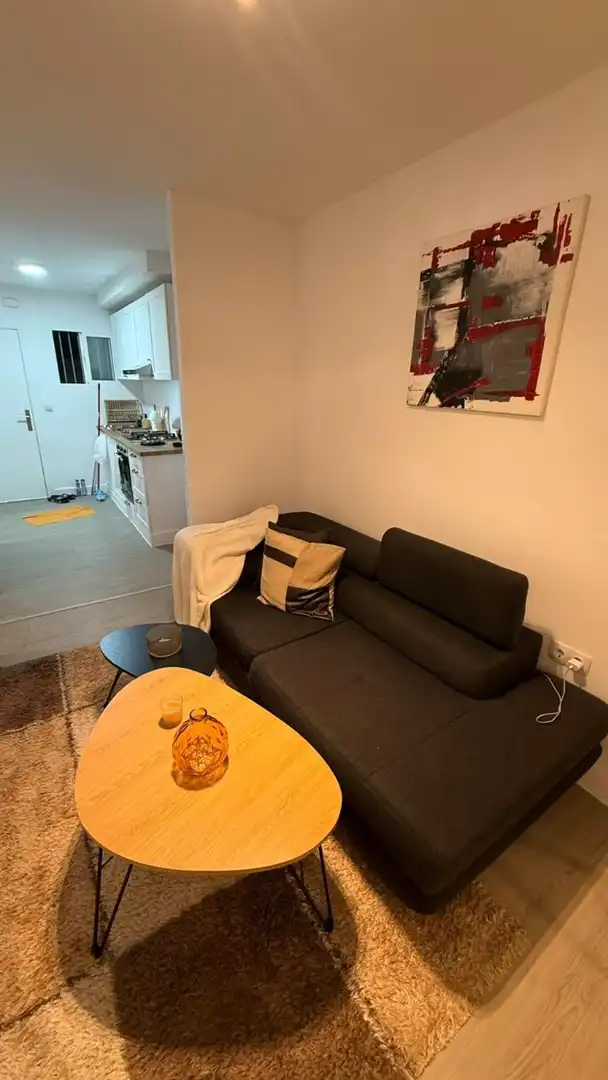 Sala d'estar de Apartament de lloguer en Alicante / Alacant amb Aire condicionat, Piscina i Moblat