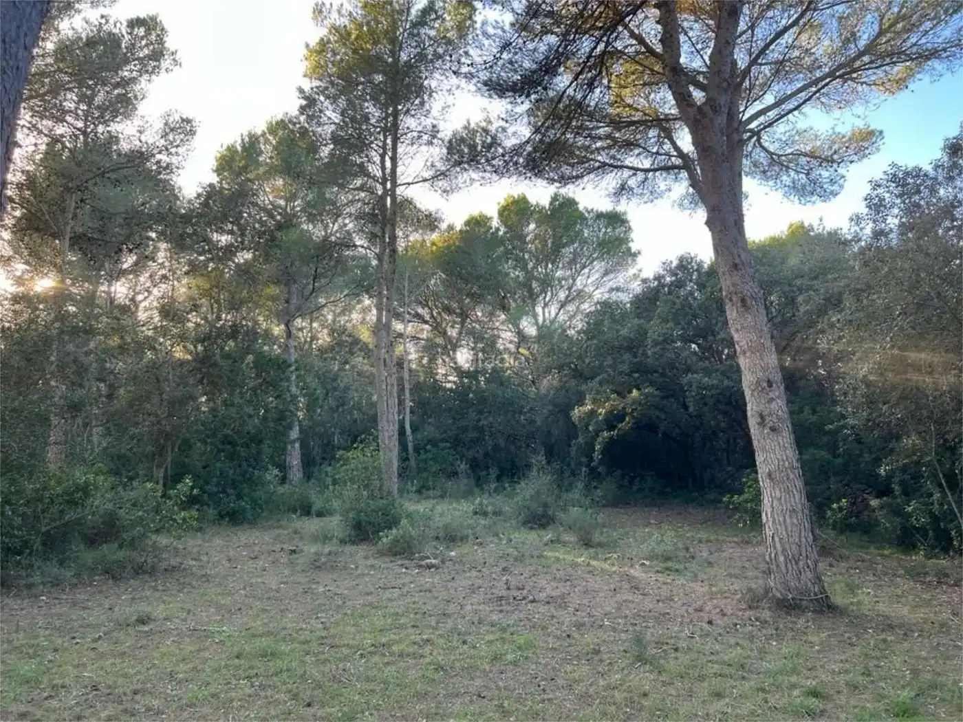 Maison à vendre à Diseminado Poligono 06 80, imagen 11