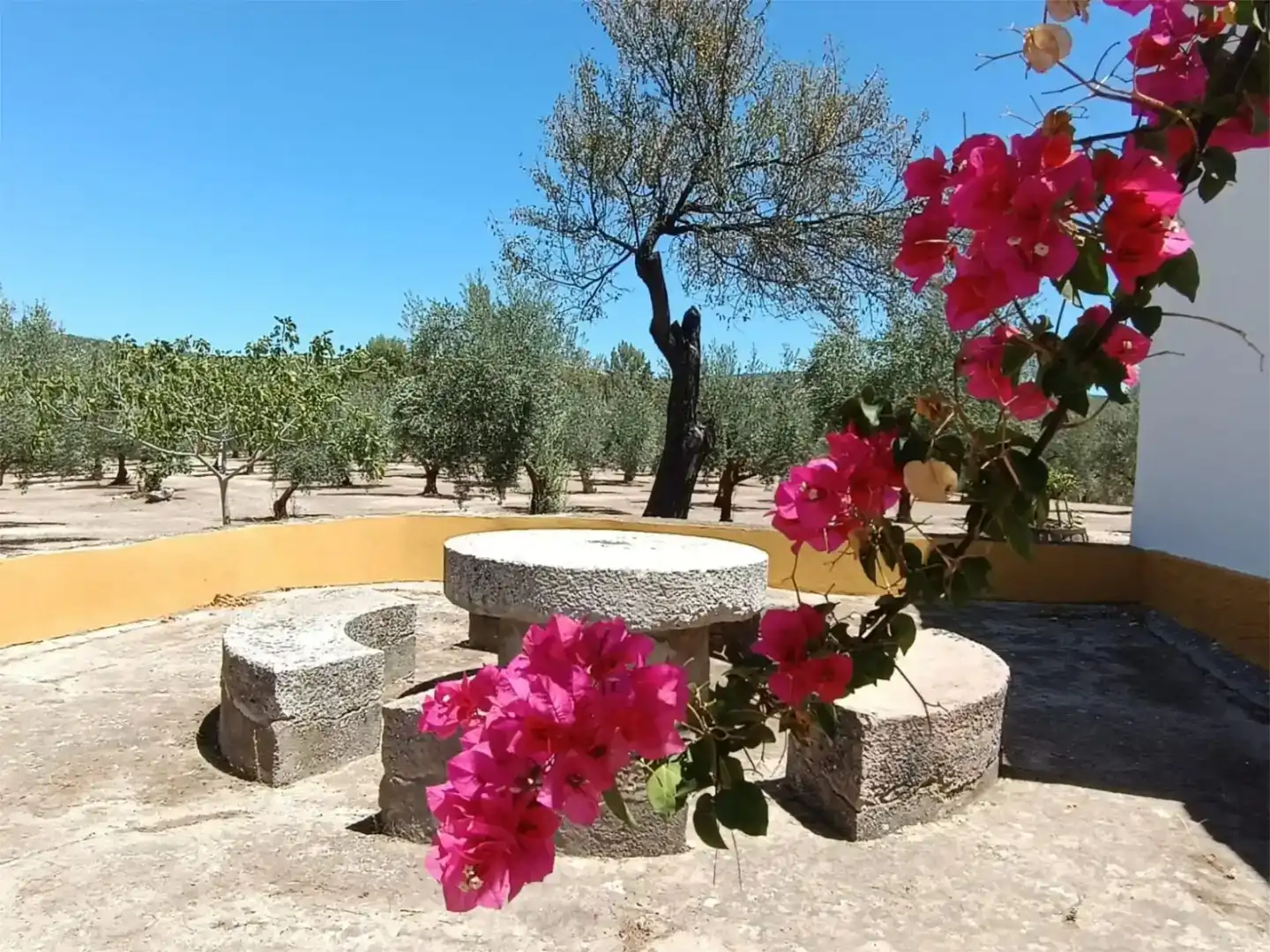 Jardín de Piso en venta en Montilla