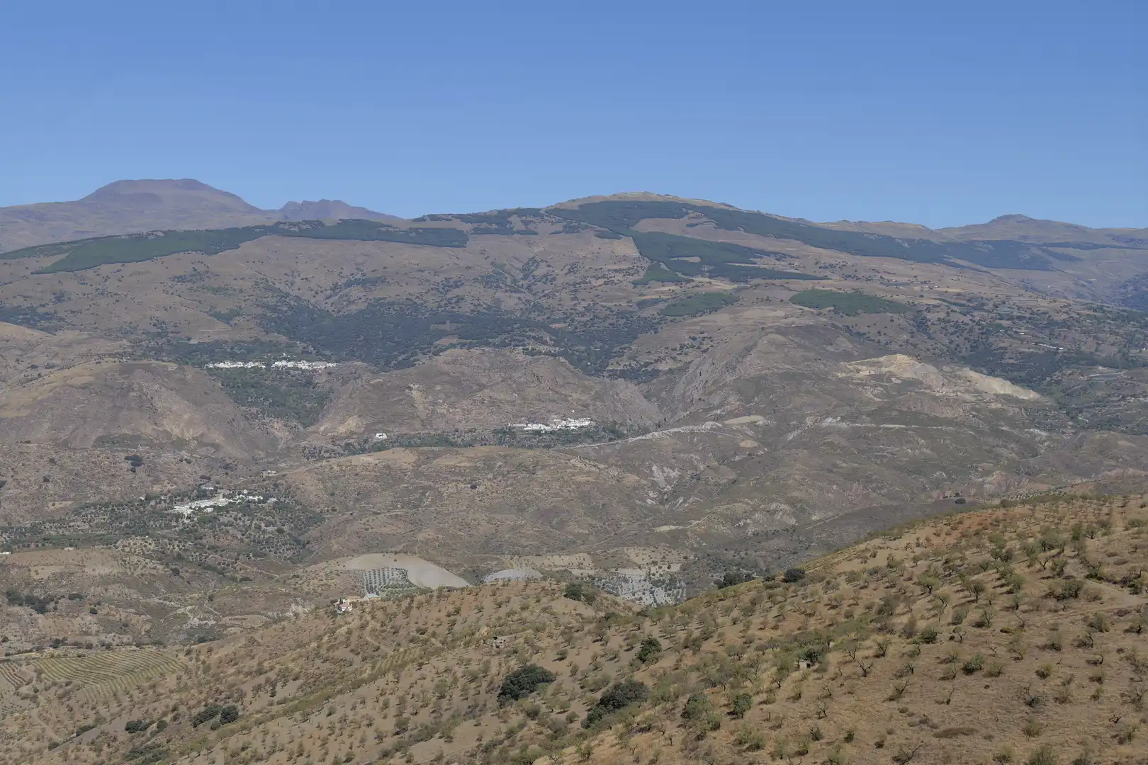 Vista exterior de Finca rústica en venta en Cádiar