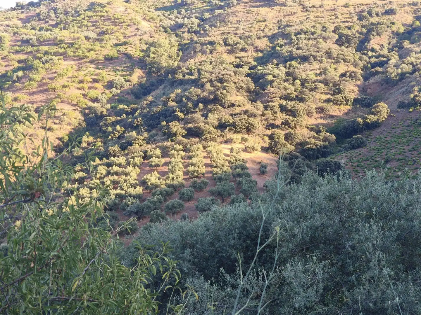 Terrenys i solars en venda a Colmenar, imagen 41