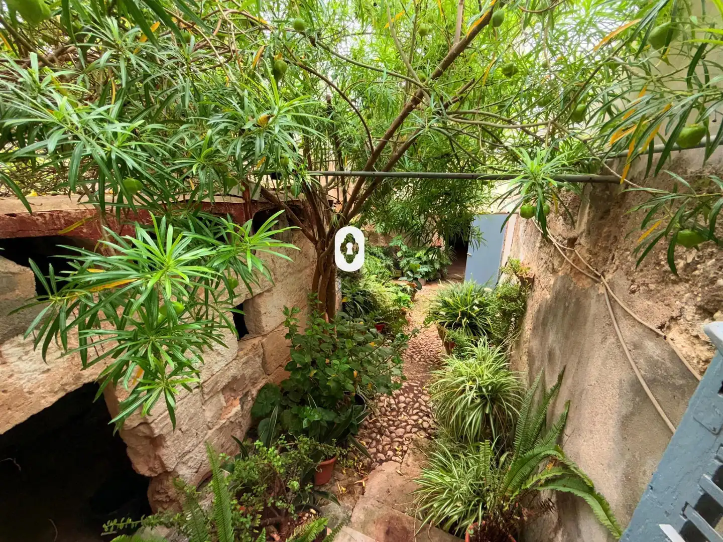 Casa o xalet en venda a SANTA ANNA, Muro
