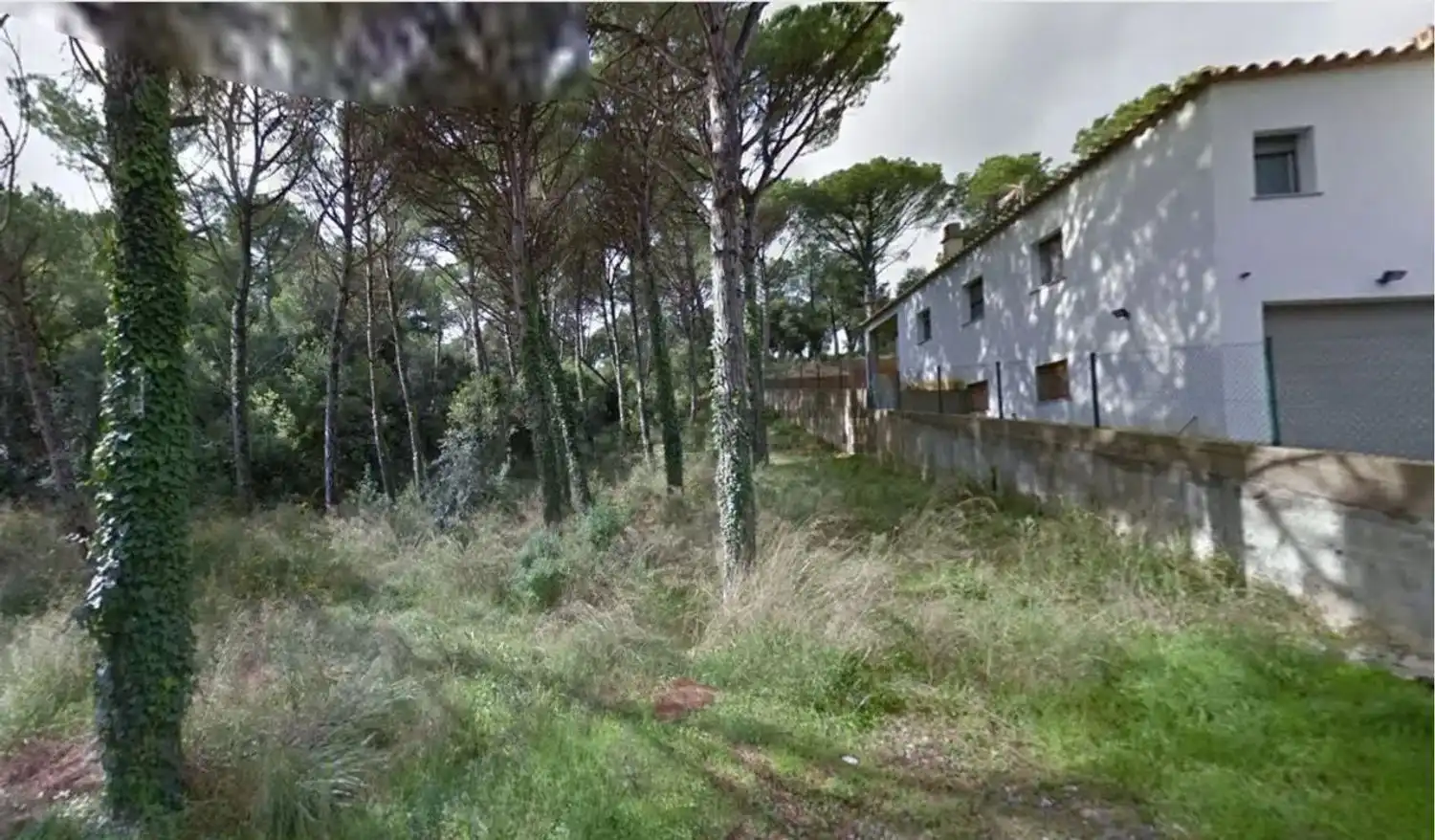 Maison avec jardin à vendre à Mas Pere - Río de Oro, imagen 16