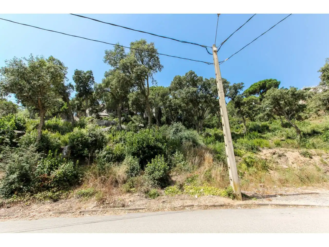 Rustikales Grundstück zum Verkauf in Avenida Ocells 39, imagen 7