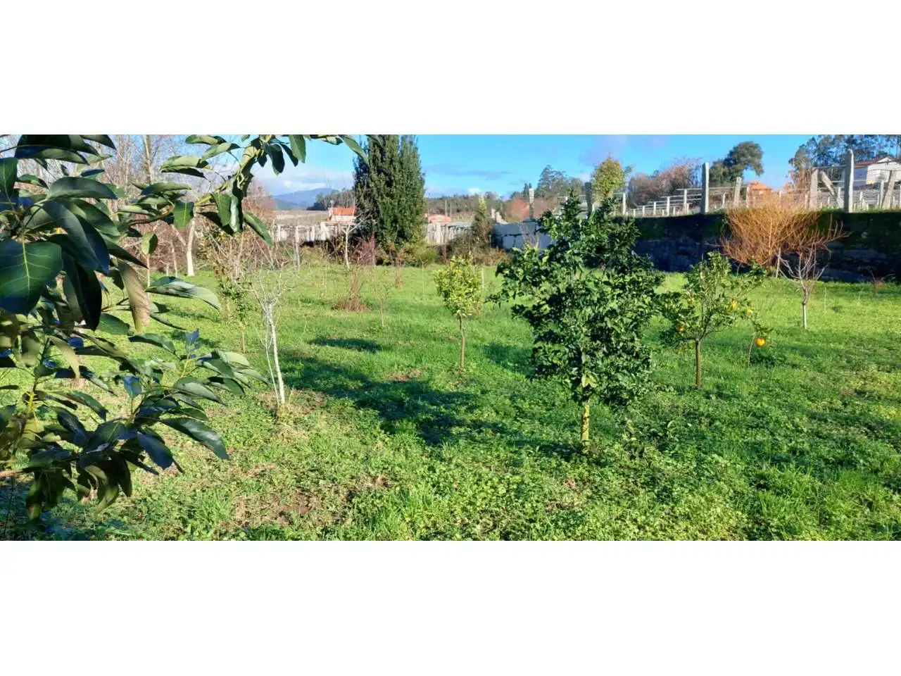 Terreno rustico in vendita a Ribadumia, imagen 11