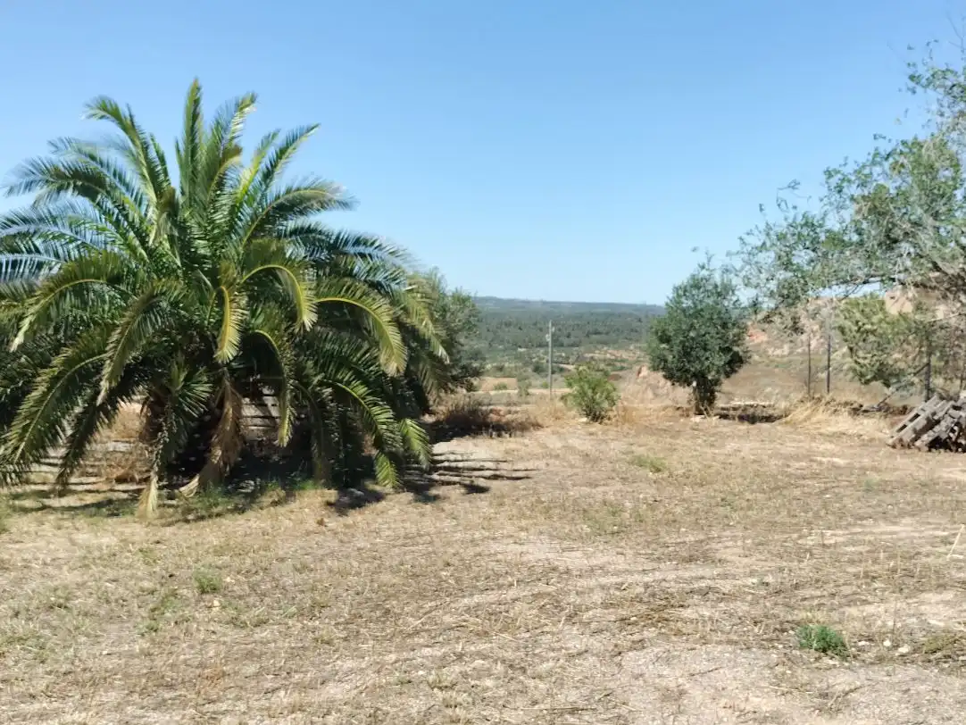 Terreny residencial en venda a cami la vall 10, imagen 5