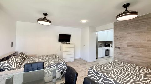 Foto 3 de Estudio de alquiler en Lomas de Cabo Roig - Los Dolses, Orihuela