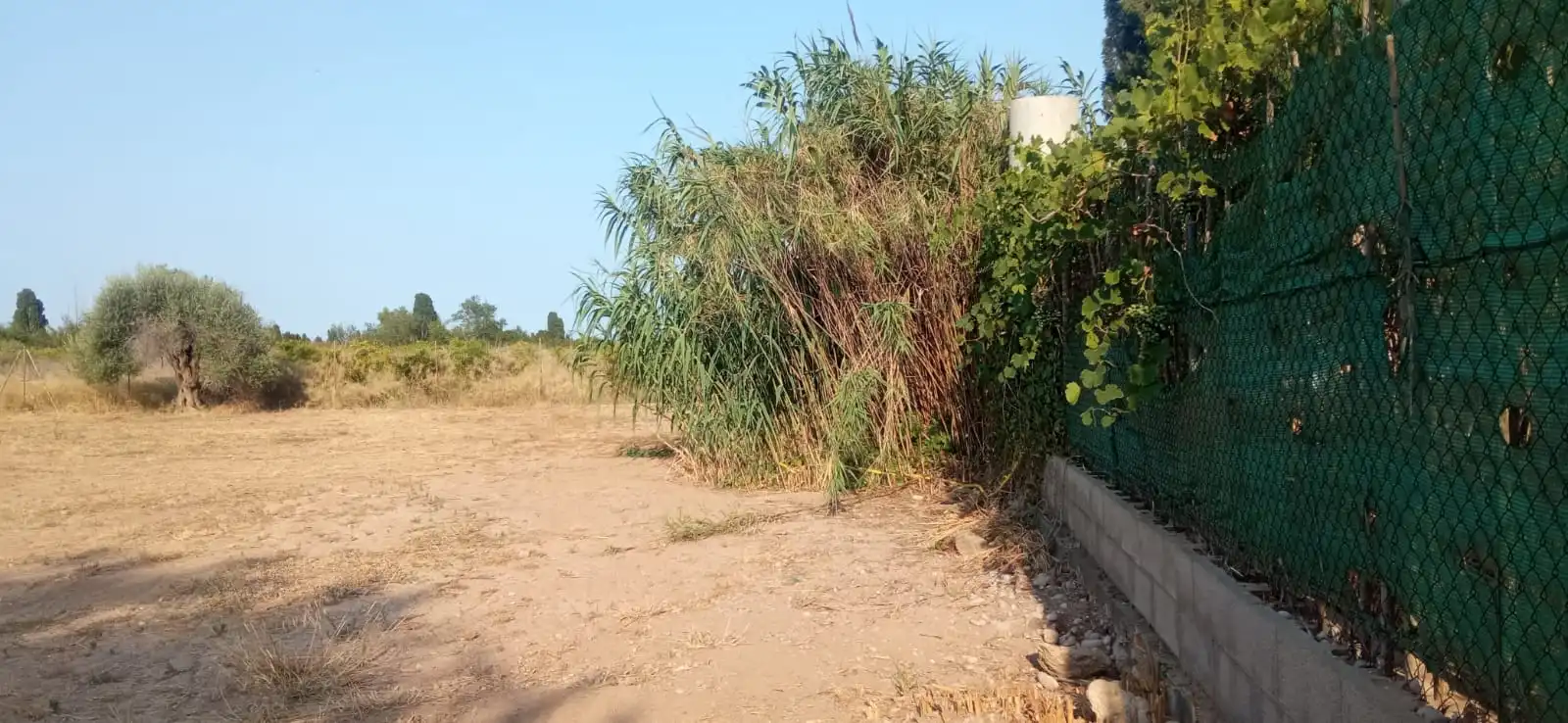 Terreny rústic en venda a Piscinas, imagen 7
