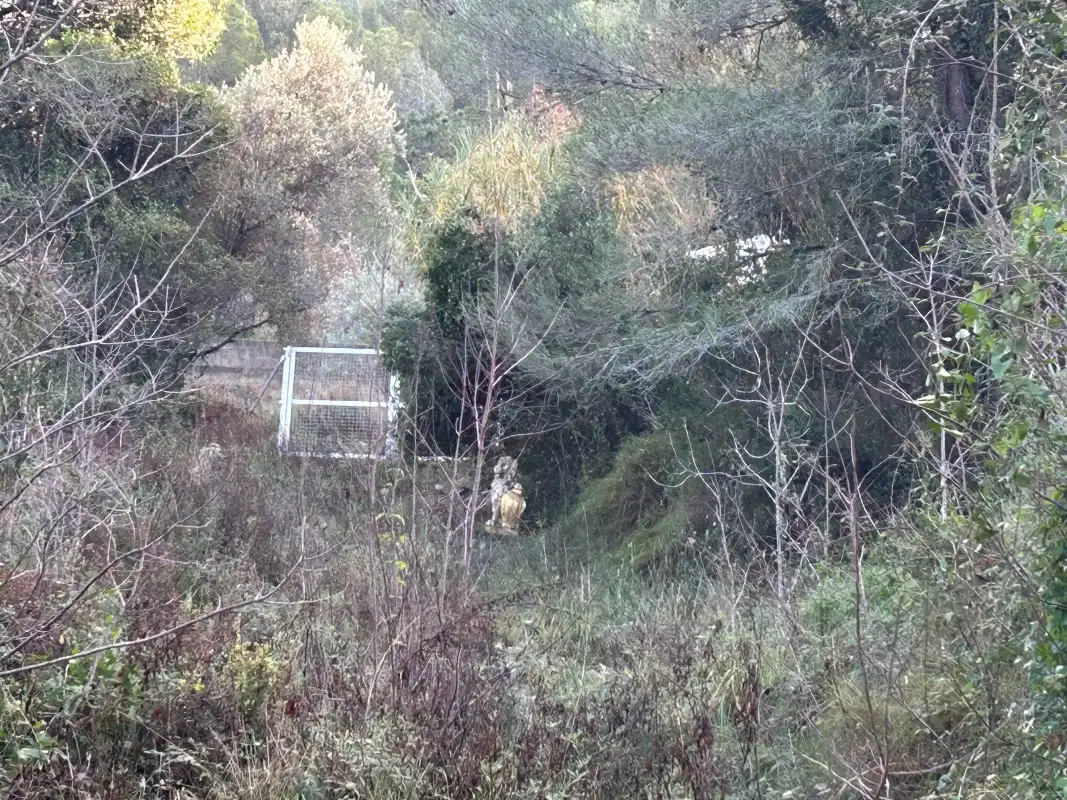 Rural land for sale in Partida Tancaes, imagen 21