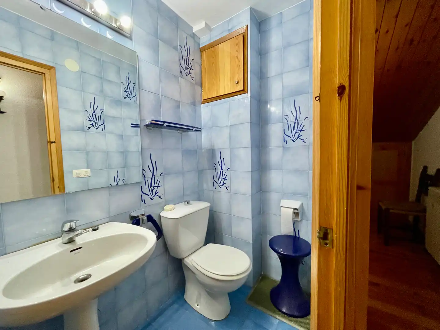 Baño de Ático en venta en Setcases con Calefacción, Terraza y Amueblado
