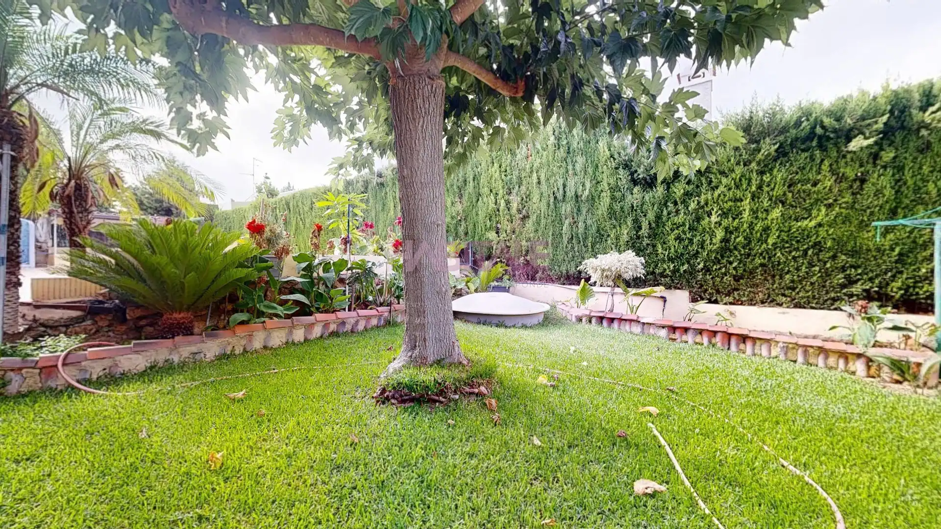 Maison avec piscine à vendre à Montserrat, imagen 32