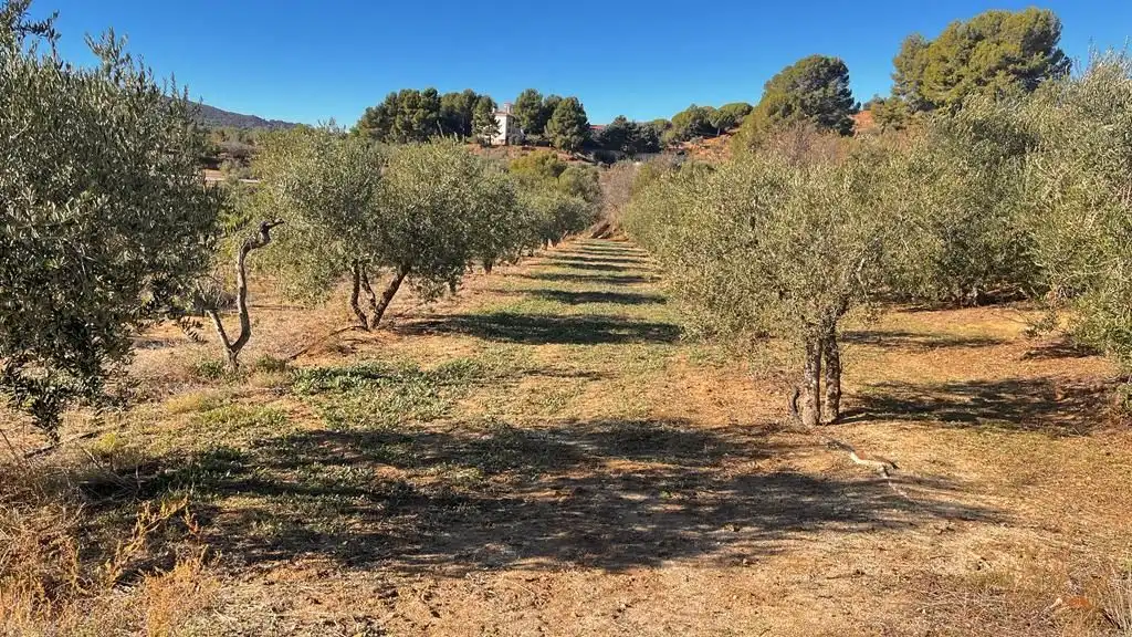 Terreny rústic en venda a Carrer del Dimecres, imagen 24