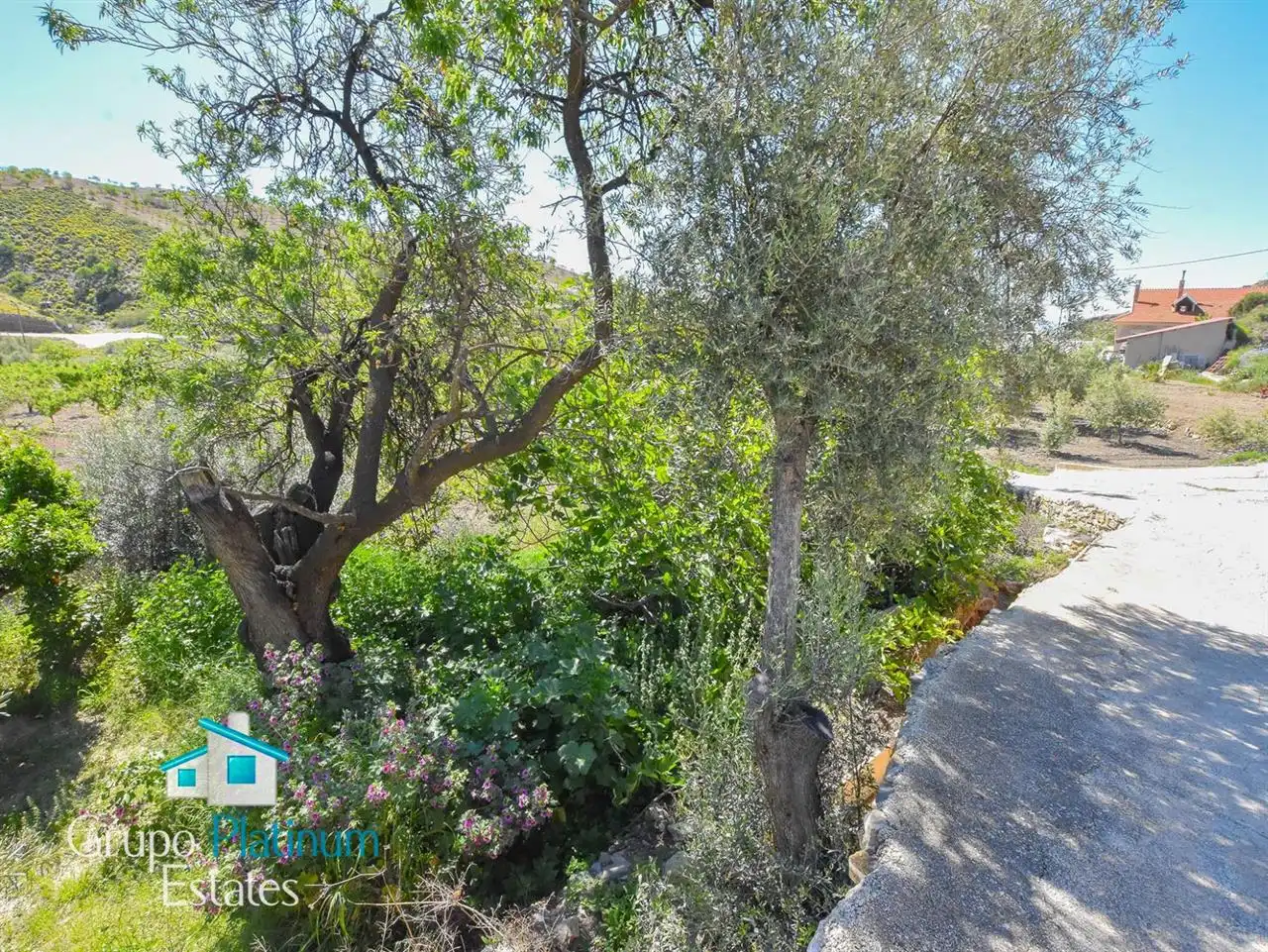 Garden of Houses for sale in Albox