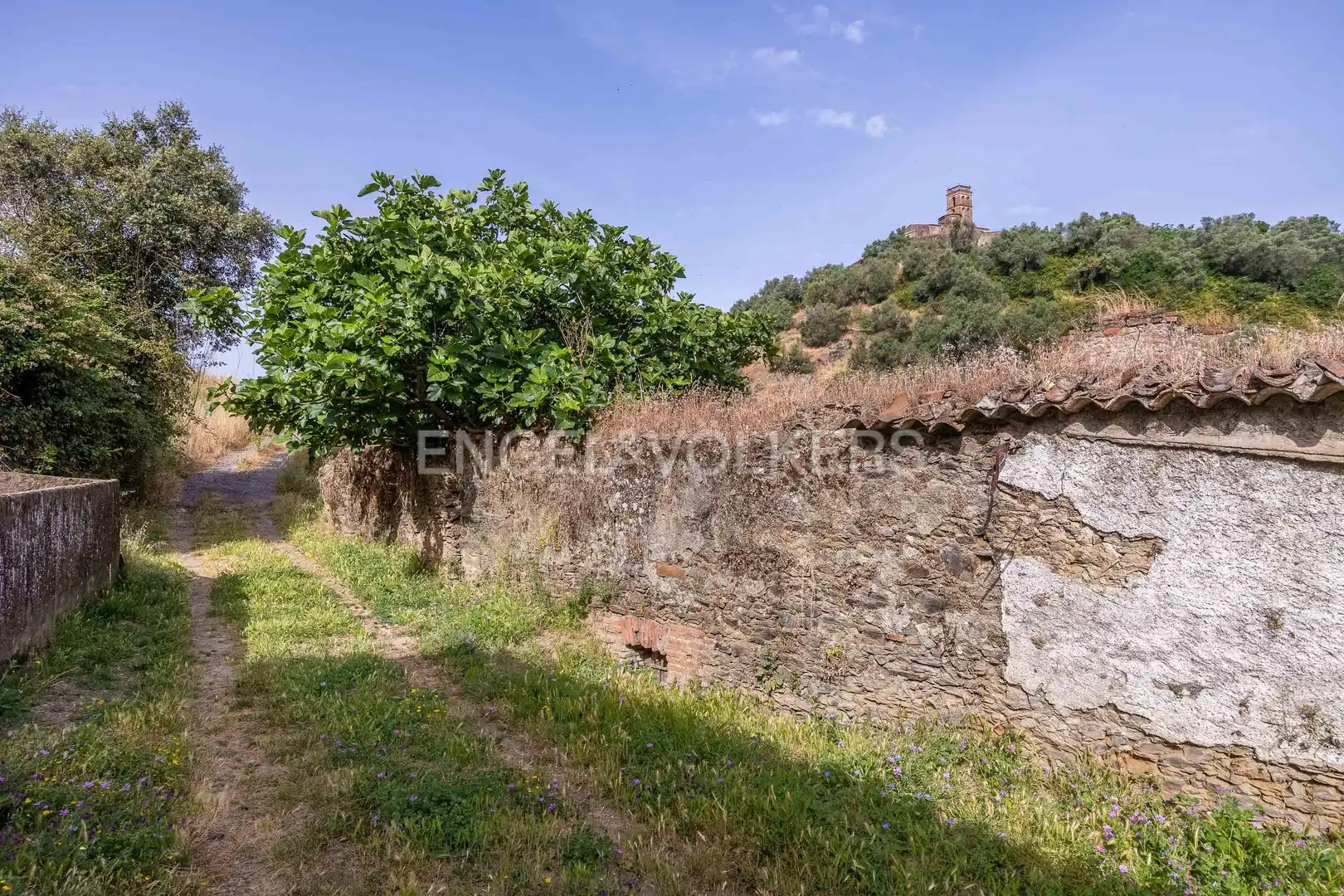 Finca rústica en venta en Almonaster la Real con Calefacción