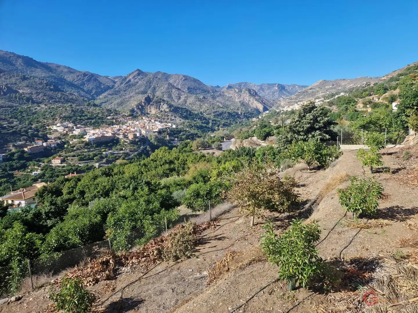 Casa rústica con piscina en venta en Los Guájares, imagen 21