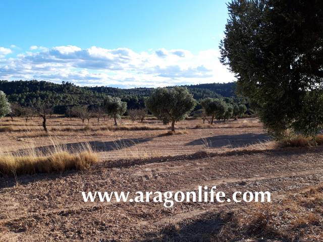 Terreno en Venta en Maella