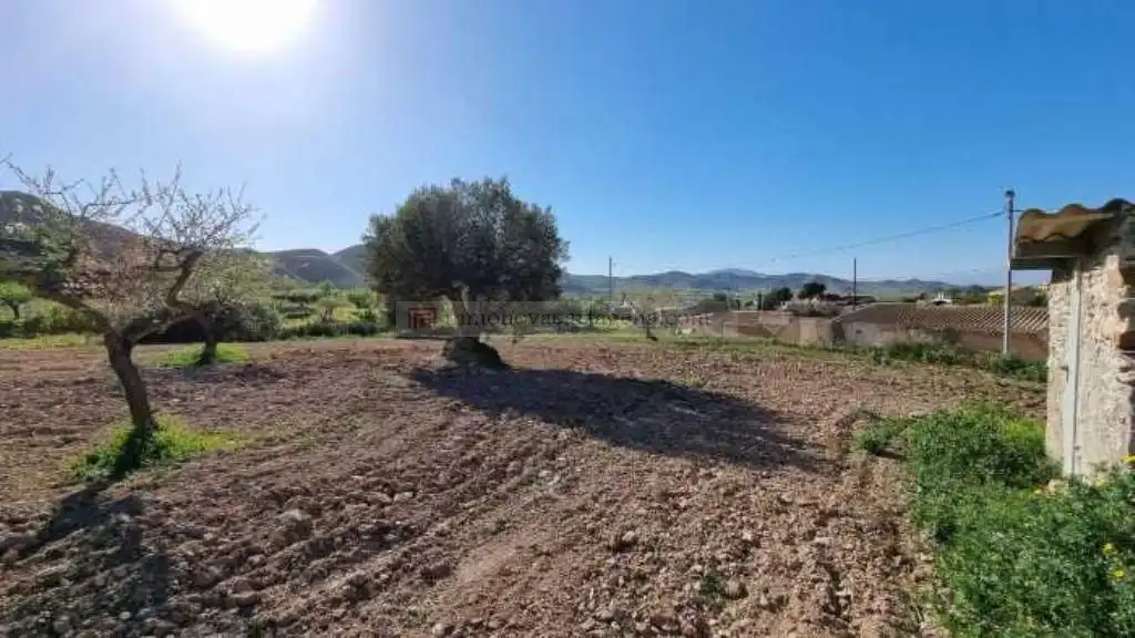 Terreni e lotti in vendita a Pedanías Oeste, imagen 9