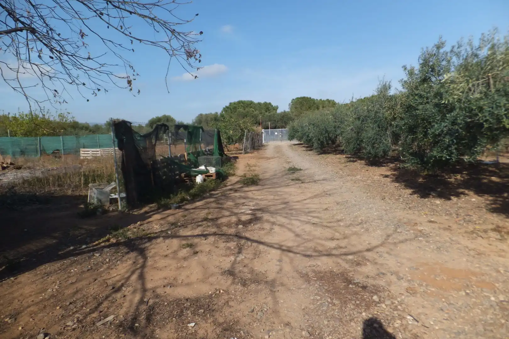 Terreno residencial en venta en Riudoms, imagen 36