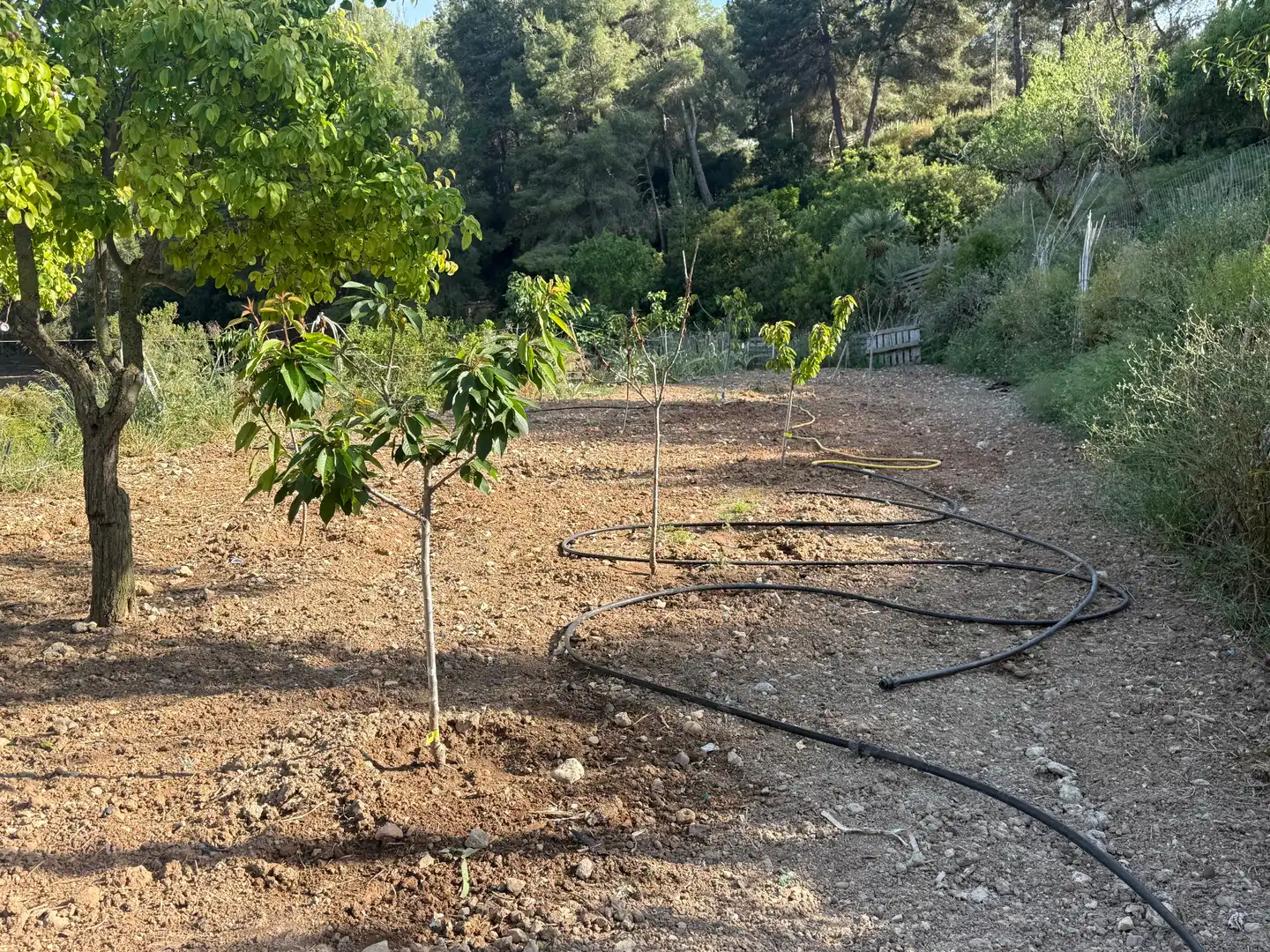 Finca rústica en venta en Sitges con Aire acondicionado, Terraza y Piscina