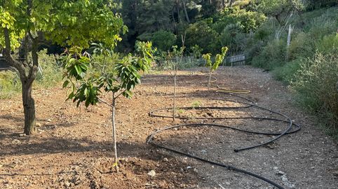Foto 5 de Finca rústica en venta en Garraf, Sitges