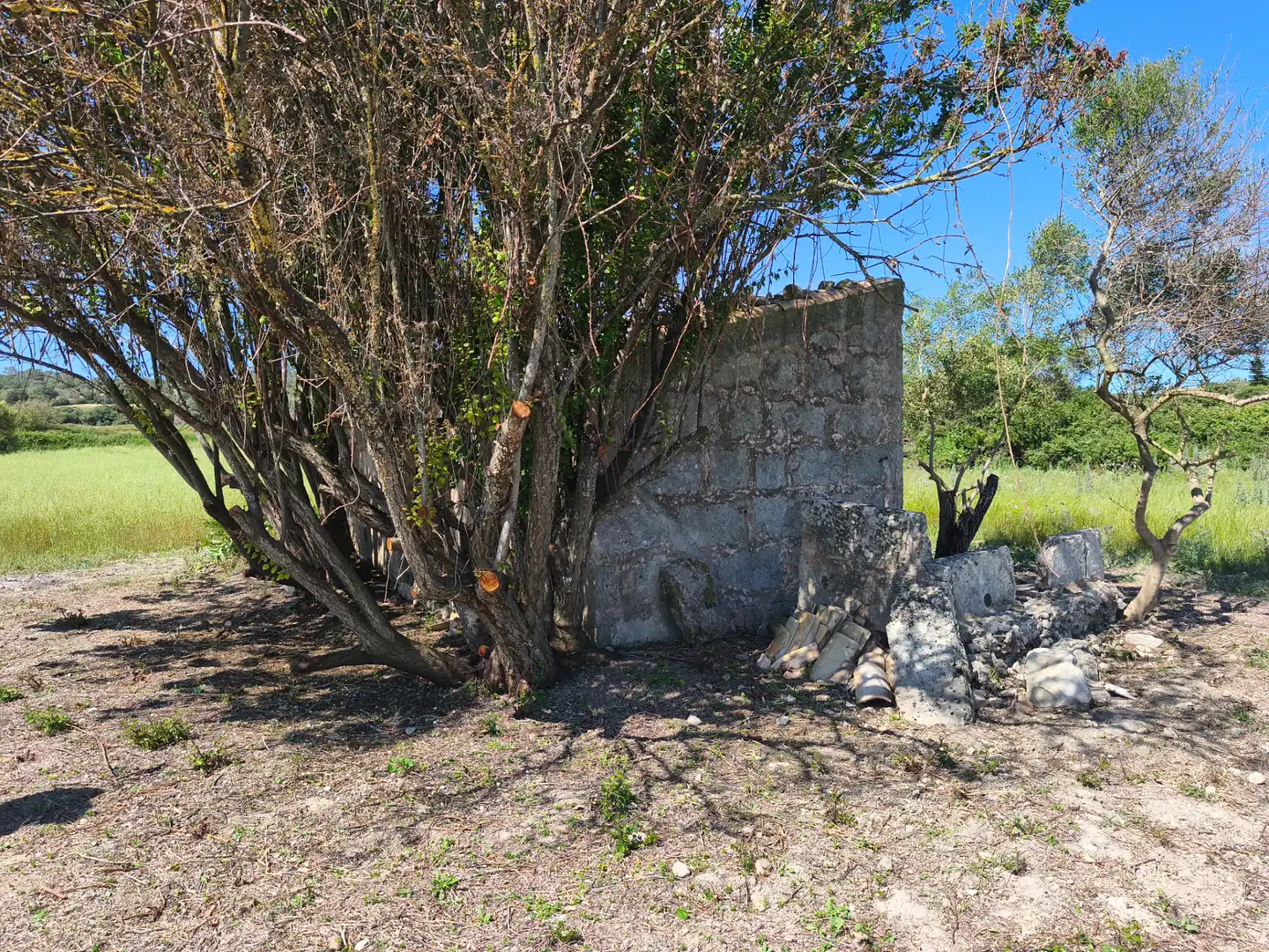 Terreno rustico in vendita a Maria de la Salut, imagen 13