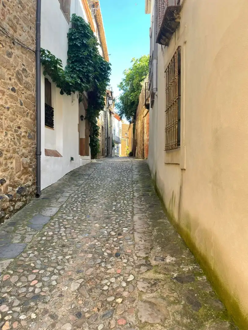 Vista exterior de Finca rústica en venta en Rupià con Terraza, Amueblado y Balcón