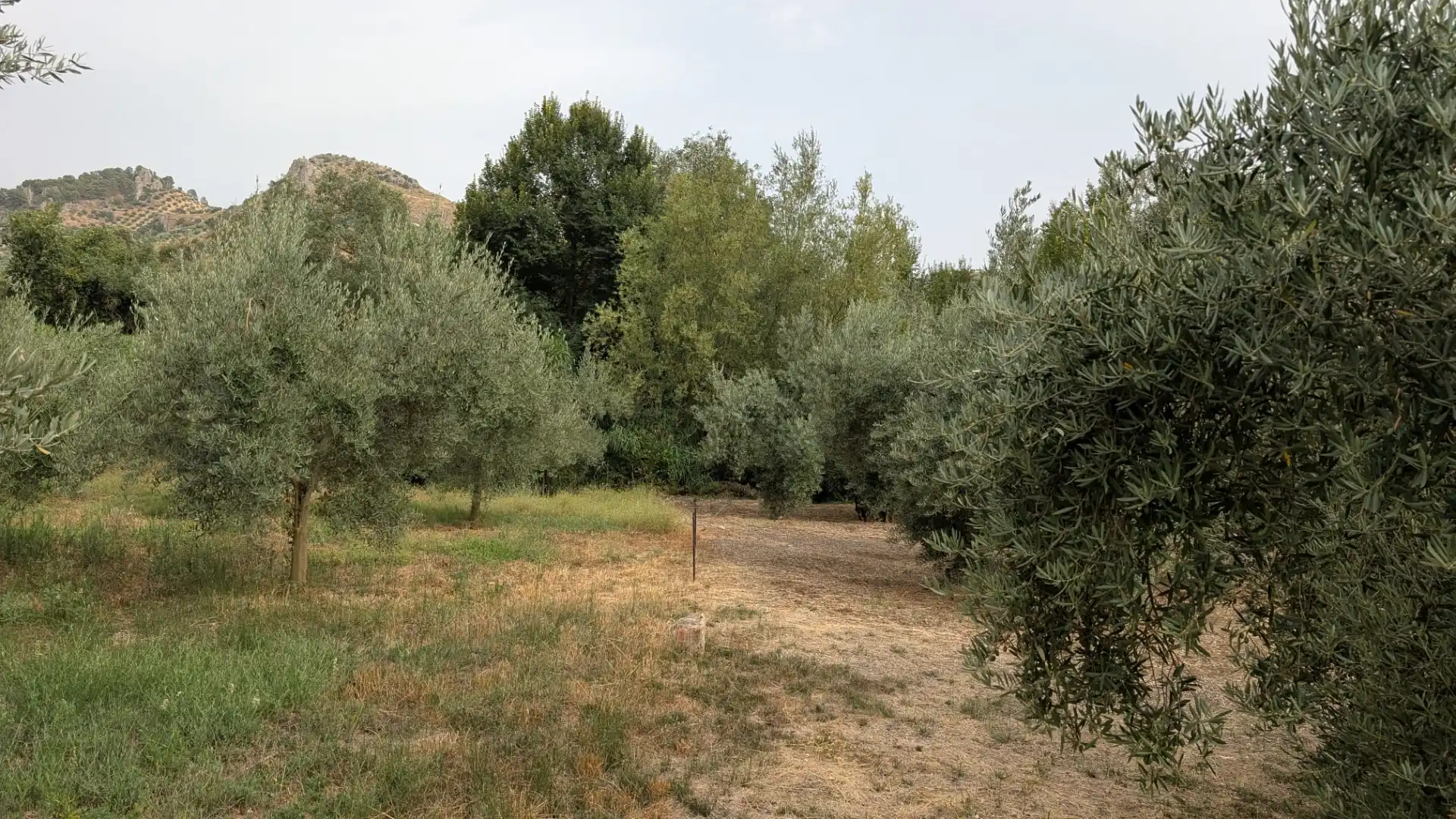 Terreni e lotti in vendita a N/A, imagen 2