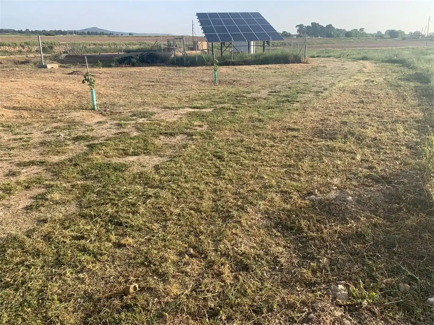 Terreno en venta en Ayora