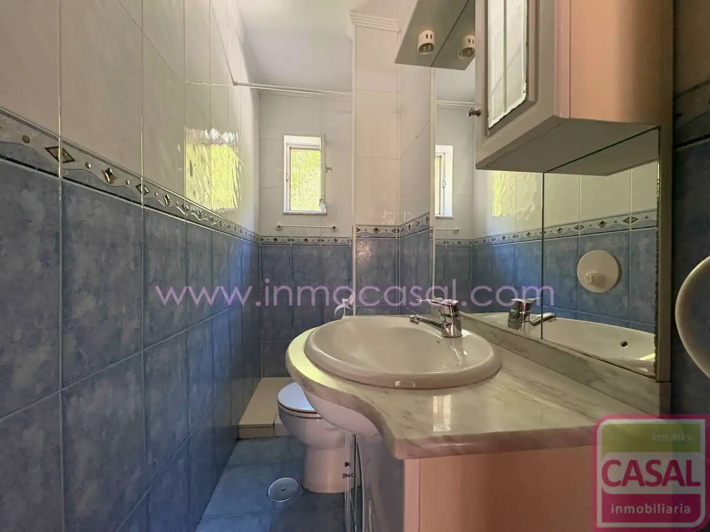 Bathroom of Flat for sale in Mieres (Asturias)  with Heating, Storage room and Furnished