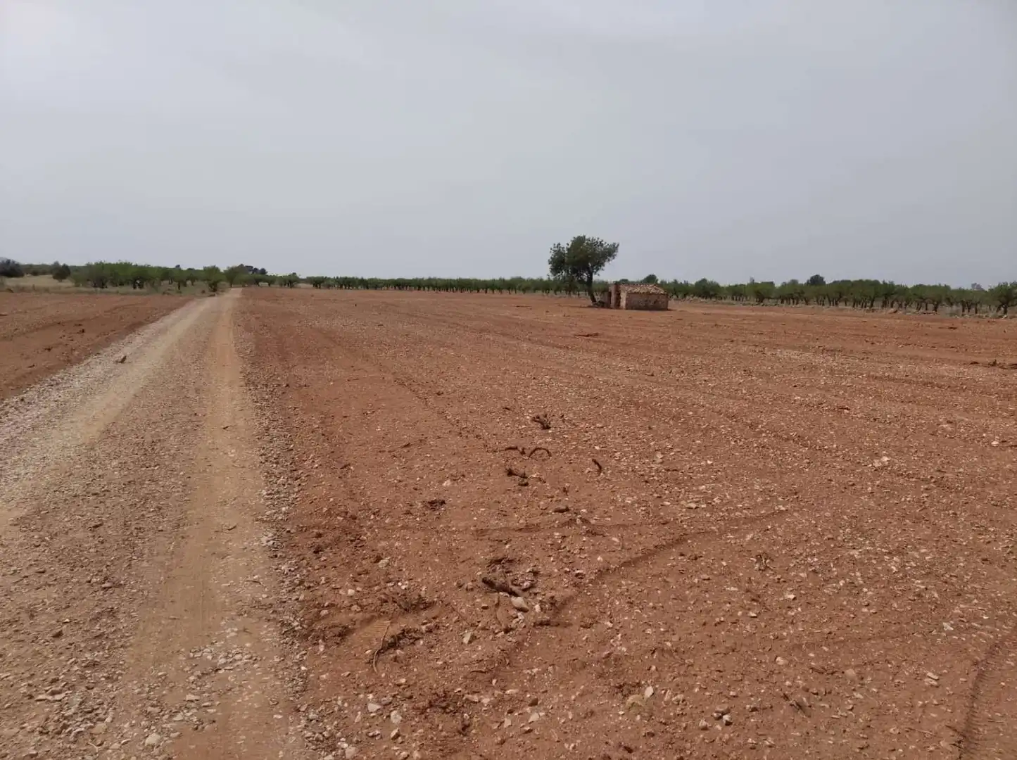 Terrenys i solars en venda a Benlloc, imagen 7