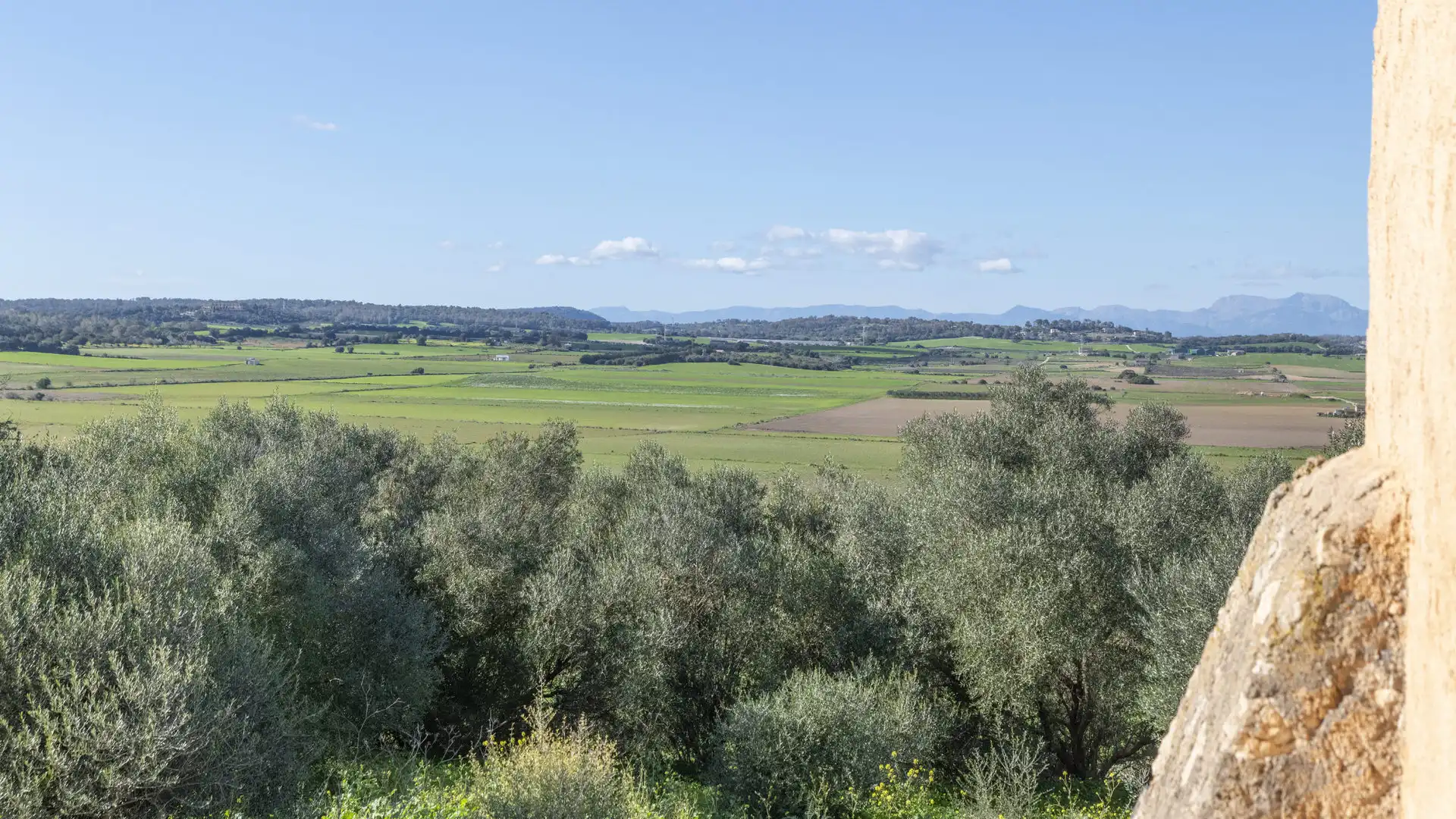 Finca rústica en venta en Vilafranca de Bonany con Terraza, Trastero y Balcón