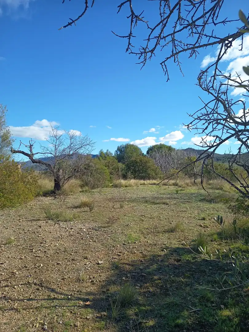 Finca rústica en venda en Ulldecona