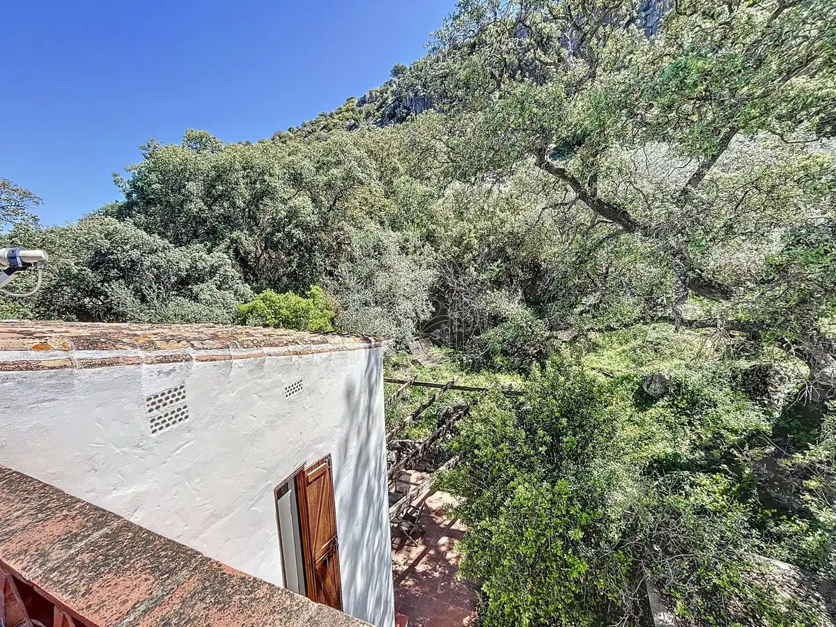 Vista exterior de Finca rústica en venta en Comares con Aire acondicionado, Jardín privado y Terraza