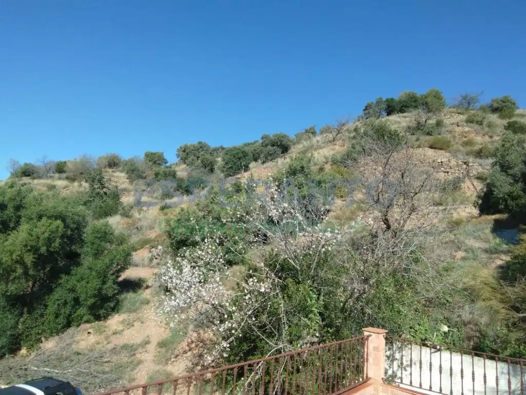 Maison avec terrasse à vendre à Este, imagen 17
