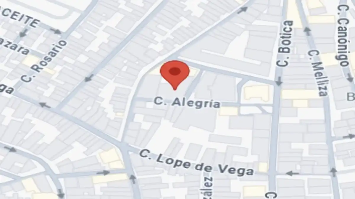 Appartement à vendre à Calle Alegría, imagen 3