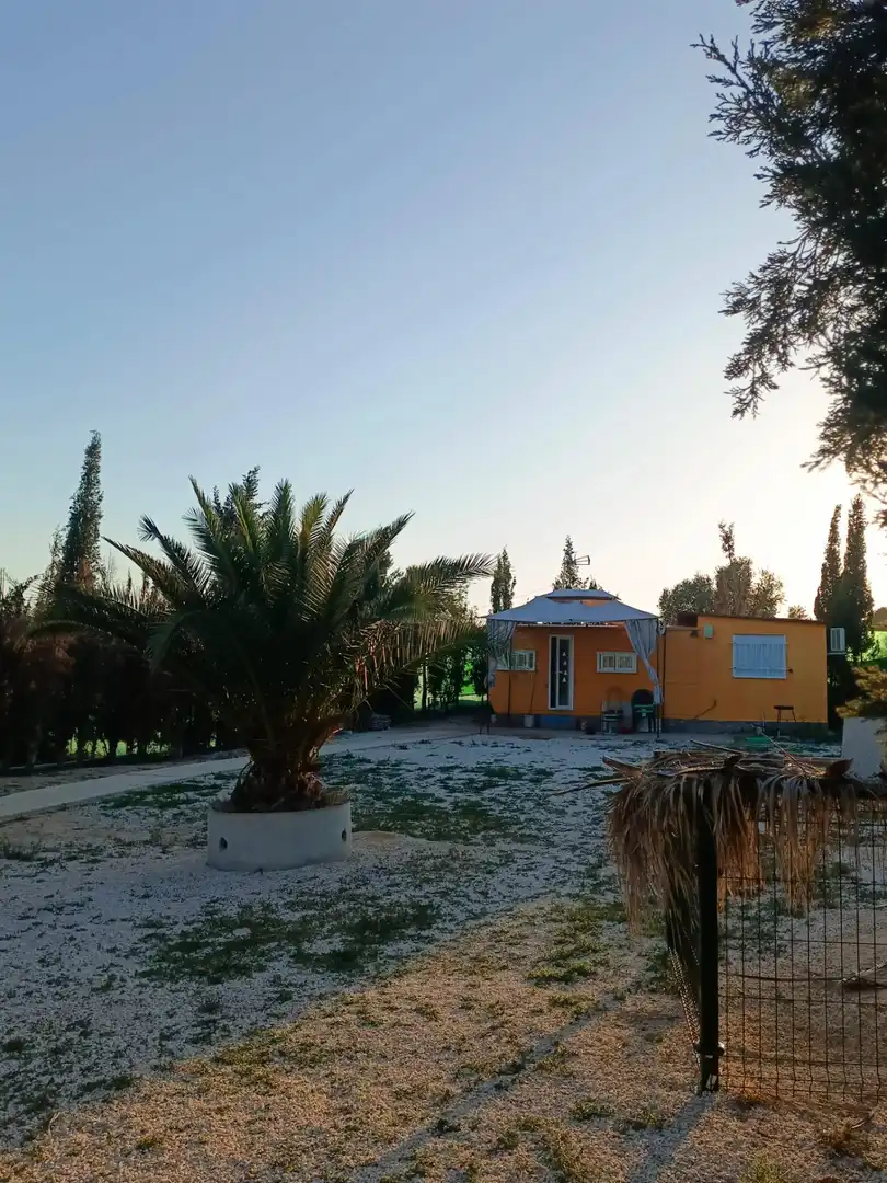 Jardín de Casa o chalet en venta en Molina de Segura con Aire acondicionado, Calefacción y Jardín privado