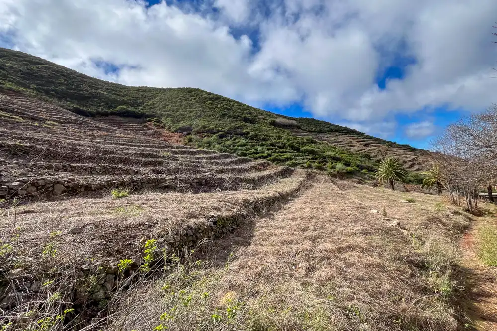 Terreno en venta en Calle Manantiales, -1, Vallehermoso