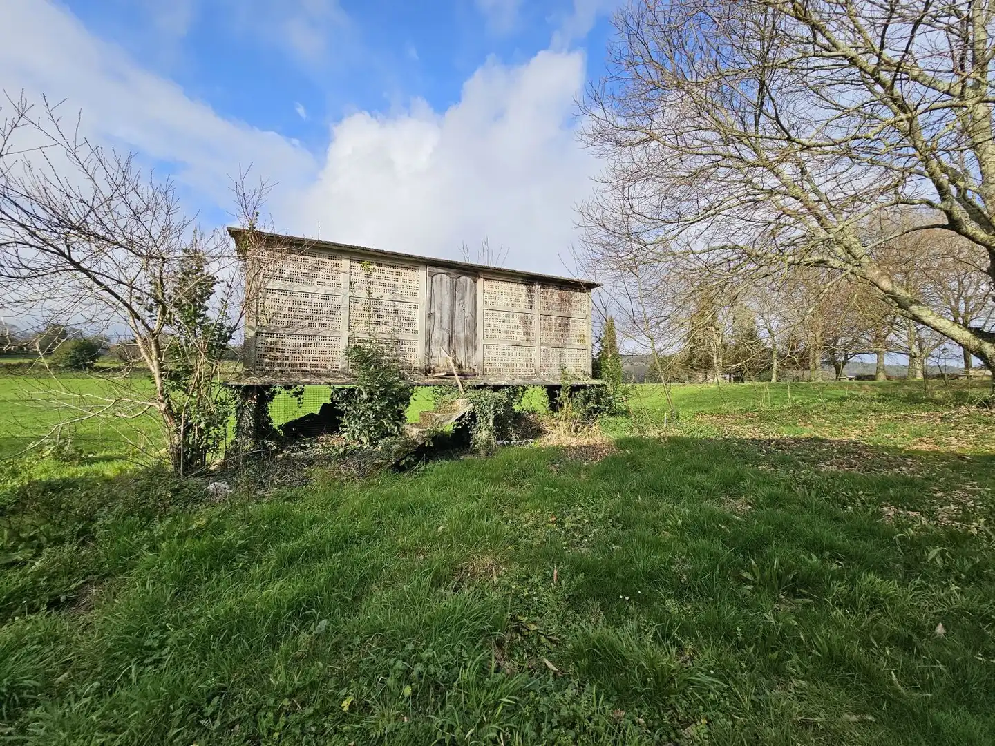 Finca rústica en venta en Abegondo
