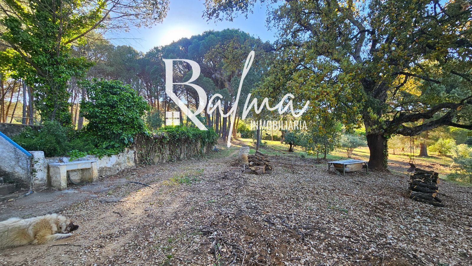 House or chalet for sale in Ronda  with Swimming Pool