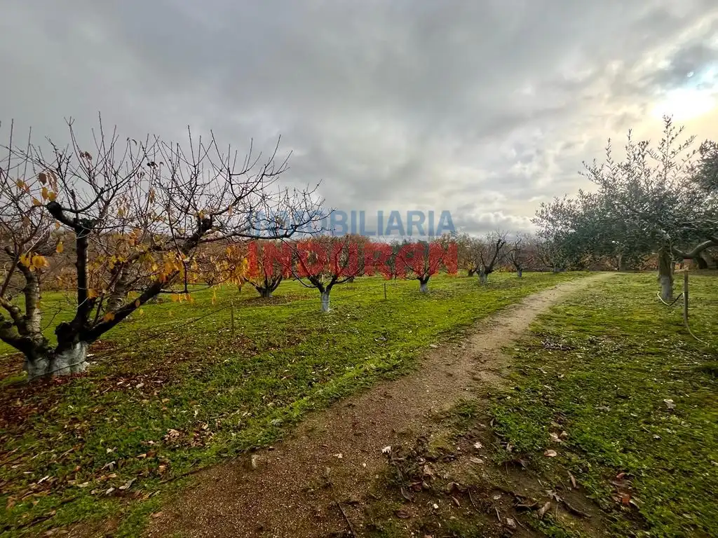 Casa rústica en venda a Diseminados Recutiano, imagen 28