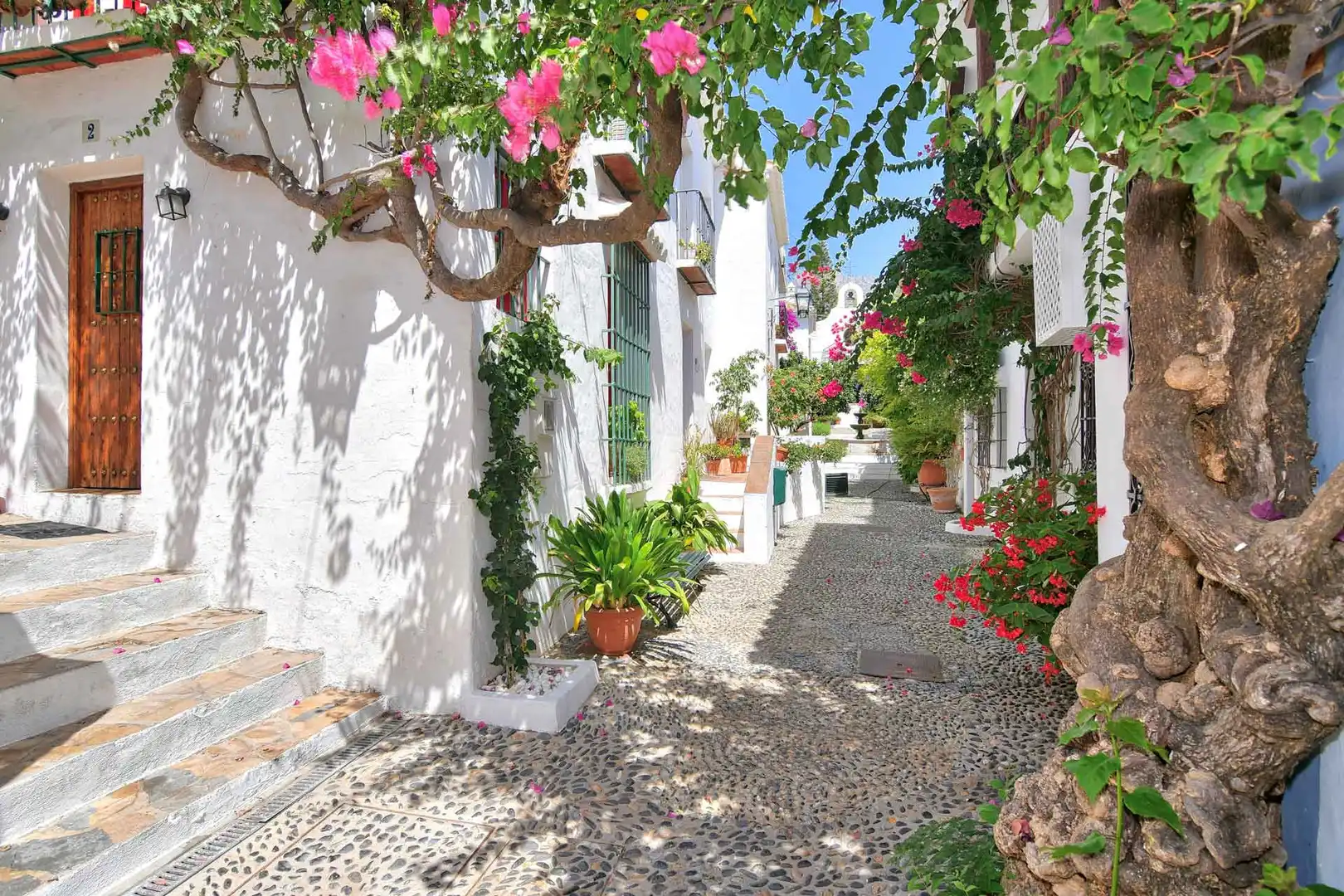 Vista exterior de Casa adosada en venta en Marbella con Terraza