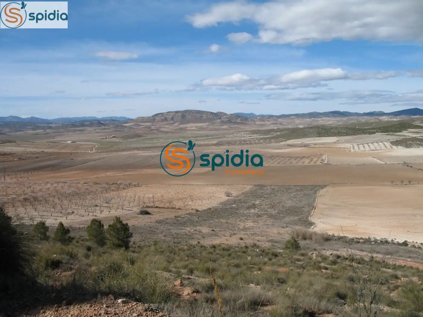 Residential land for sale in Pedanías Norte, imagen 3