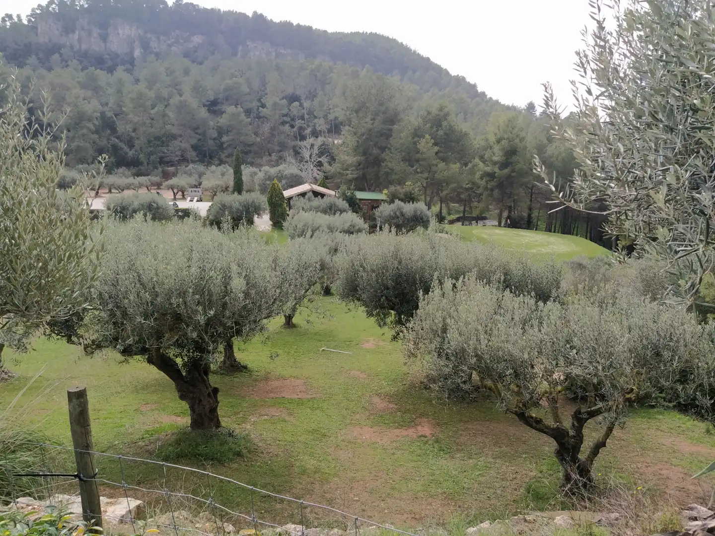 Terreno residencial en venta en Cervelló, imagen 11